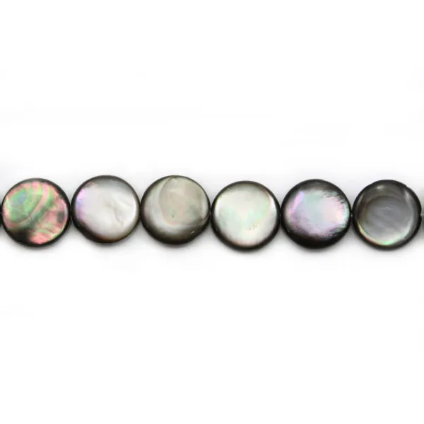 Madrepérola cinzenta em círculos curvos sobre arame 16mm x 40cm