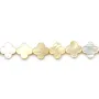 Nacre jaune en forme de trèfle sur fil 13mm x 40cm