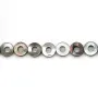 Nacre grise Donut 10mm x40cm