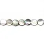 Nacre grise en rond plat sur fil 10mm x 40cm