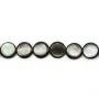 Nacre grise en ronds bombés sur fil 13mm x 40cm