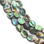 Nacre d'ormeau en oval sur fil 6x8mm x 40cm