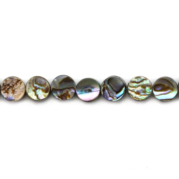 Nacre d'ormeau en rond plat 6mm x 10pcs