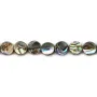 Abalone mother-of-pearl flat round beads 6mm x 10pcs