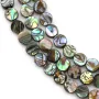 Abalone mother-of-pearl flat round beads on thread 6mm x 40cm