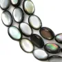 Nacre grise en oval bombé sur fil 12x16mm x 40cm