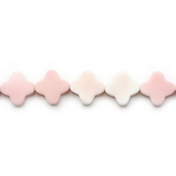 Lambi trèfle 13.5mm x 40cm