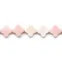Queen conch clover 13.5mm x 40cm