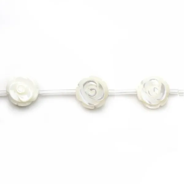Nácar branco em forma de rosa sur fil 10mm x 40cm (15pcs)