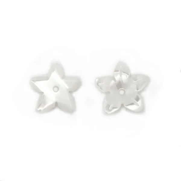 Nacre blanche en fleur à 5 pétales 8mm x 1pc