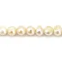 Pérolas cultivadas em água doce, branco, oval/irregular, 7-9mm x 40cm