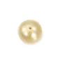 Pérola do Mar do Sul, champanhe, azeitona/oval, 11,5-12mm x 1pc