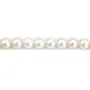 Perle de culture d'eau douce, blanche, ronde, 9.5-10mm x 40cm