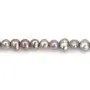 Perlas cultivadas de agua dulce, grises, ovaladas/regulares, 5-6mm x 39cm