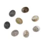 Cabochon agate du boswana, de forme ovale, 7x9mm x 4pcs