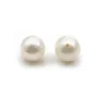 Perle de culture d'eau douce, semi-percée, blanche, ronde, 7.5-8mm x 1pc