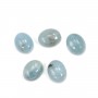 Cabochon aigue marine ovale 8x12mm  x 1pc