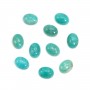 Blue cabochon of amazonite, in round shape, 8mm x 4 pcs