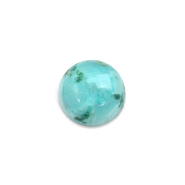 Cabochon Chrysocolle, de forme dome ronde 10mm x 1pc