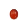 Cabochon cornaline ovale 8x10mm x 4pcs