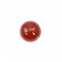 Cabochon carnelian round 10mm x 2pcs
