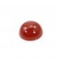 Cabochon carnelian round 10mm x 2pcs