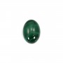 Cabochon Malachite Oval 13x18mm  x 1pc