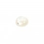 Cabochon rond 10 mm Nacre Blanc x1