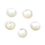 Cabochon rond 4 mm Nacre Blanc x2