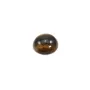 Cabochon oeil de tigre rond 10mm x 2pcs