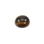 Cabochon eye tigre round plat 14mm x 1pc