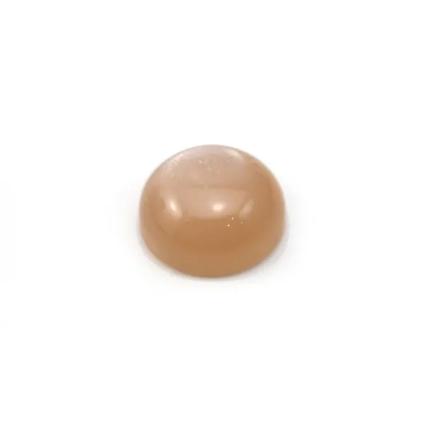 Cabochon Pierre de Lune Rond 4mm x 1pc
