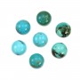 Cabochon Turquoise round 12mm x 1pc