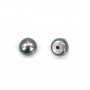 Perle de culture d'eau douce, semi-percée, bleue foncée, bouton, 6-6.5mm  x 1pc