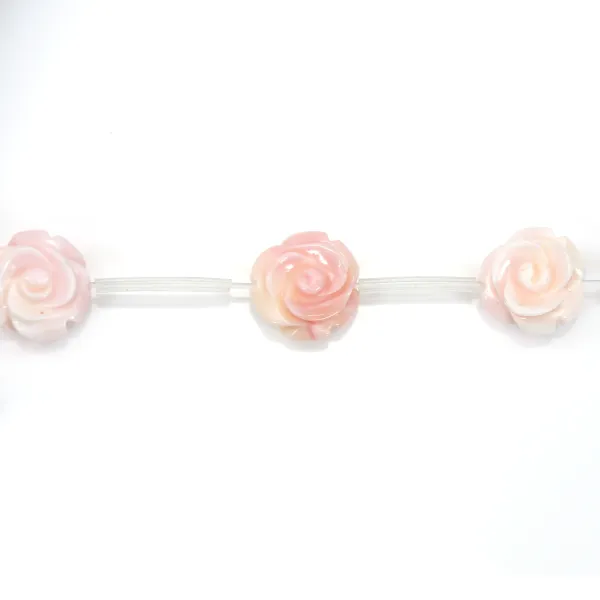 Queen conch flower 12mm x 40cm