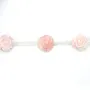 Lambi fleur 12mm x 40cm 