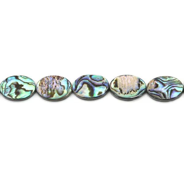 Nacre Ormeau Abalone oval 13x18mm x 40cm