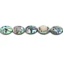 Nacre d'ormeau en oval sur fil 13x18mm x 40cm