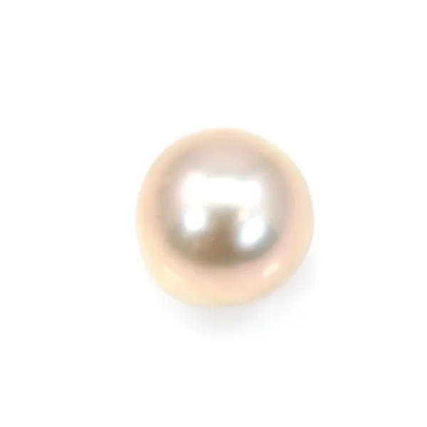 Perla cultivada de agua dulce, semiperforada, púrpura, ovalada, 8-8.5mm x 1pc
