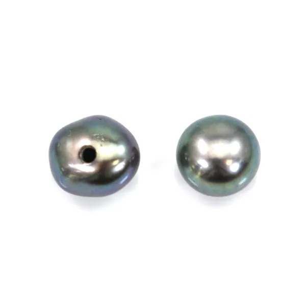 Perles de culture d'eau douce, semi-percée, bleue foncée, bouton, 4.5-5mm x40pcs