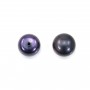 Perle de culture d'eau douce, semi-percée, bleu foncé, bouton, 9-10mm x 4pcs