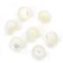 Nacre semi-percé d'un coté rond 8mm x 4pcs