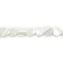 Nacre blanche en forme de coeur 8mm x 5pcs