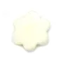 Nacre blache en forme de fleur à 6 pétales 12mm x 4pcs