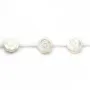 Nacre blanche en forme de rose 10mm x 2pcs