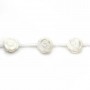 White mother-of-pearl rose bead 10mm x 2pcs