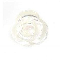 White mother-of-pearl rose bead 10mm x 2pcs