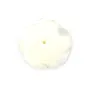Nacre blanche en rose semi-percée 15mm x 1pc