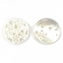 White mother-of-pearl flowers and Butterflies openwork pattern 18mm x 1pc