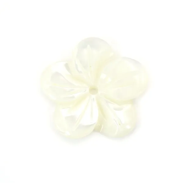 Nacre blanche en forme de fleur à 5 pétales 15mm x 1pc